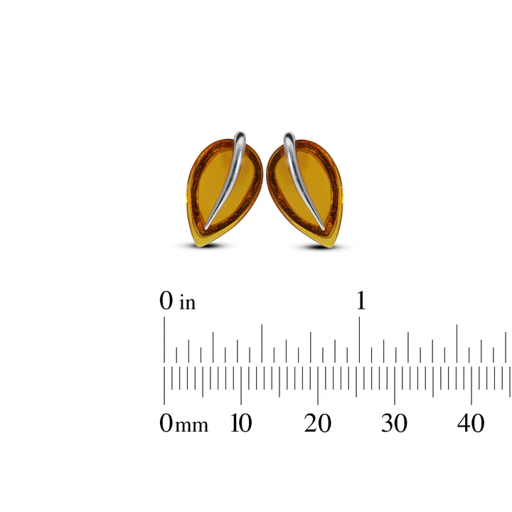 Sterling Silver Amber Earrings – Studs & Drops | Hearts, Leaves, Round & Oval Designs